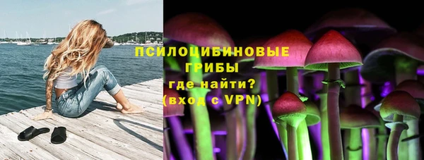 ПСИЛОЦИБИНОВЫЕ ГРИБЫ Балабаново