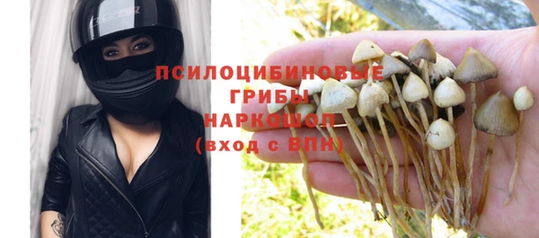 ПСИЛОЦИБИНОВЫЕ ГРИБЫ Балабаново