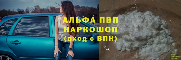 ПСИЛОЦИБИНОВЫЕ ГРИБЫ Балабаново