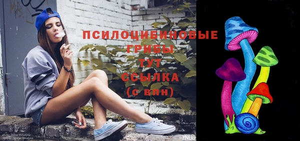 стаф Балахна