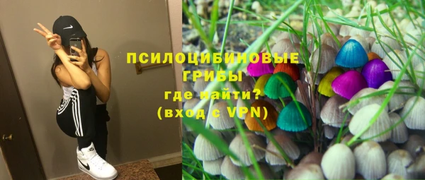 стаф Балахна