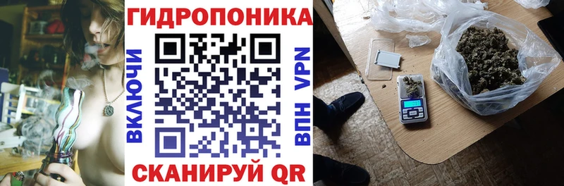 МАРИХУАНА гибрид  как найти закладки  Новая Ладога 